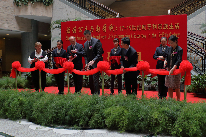 1496310278084027136.jpg IMG_2380.jpg