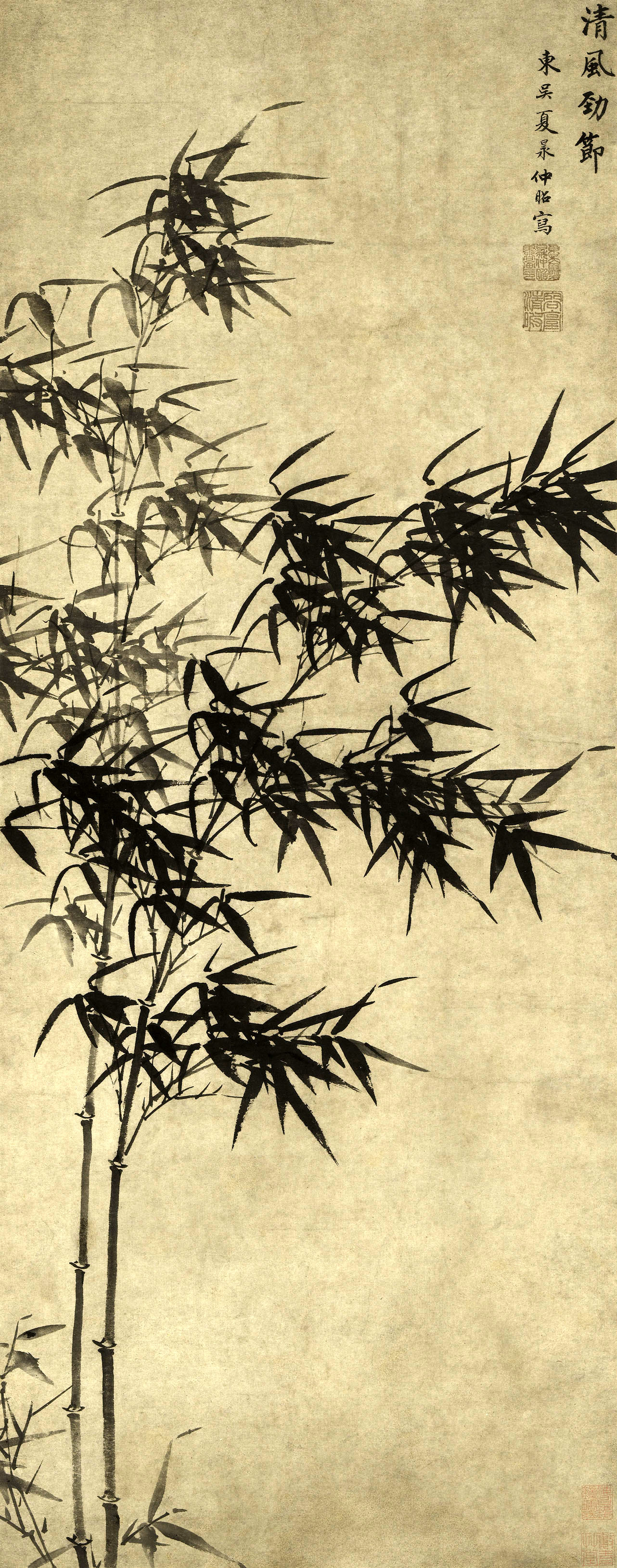 上海博物馆