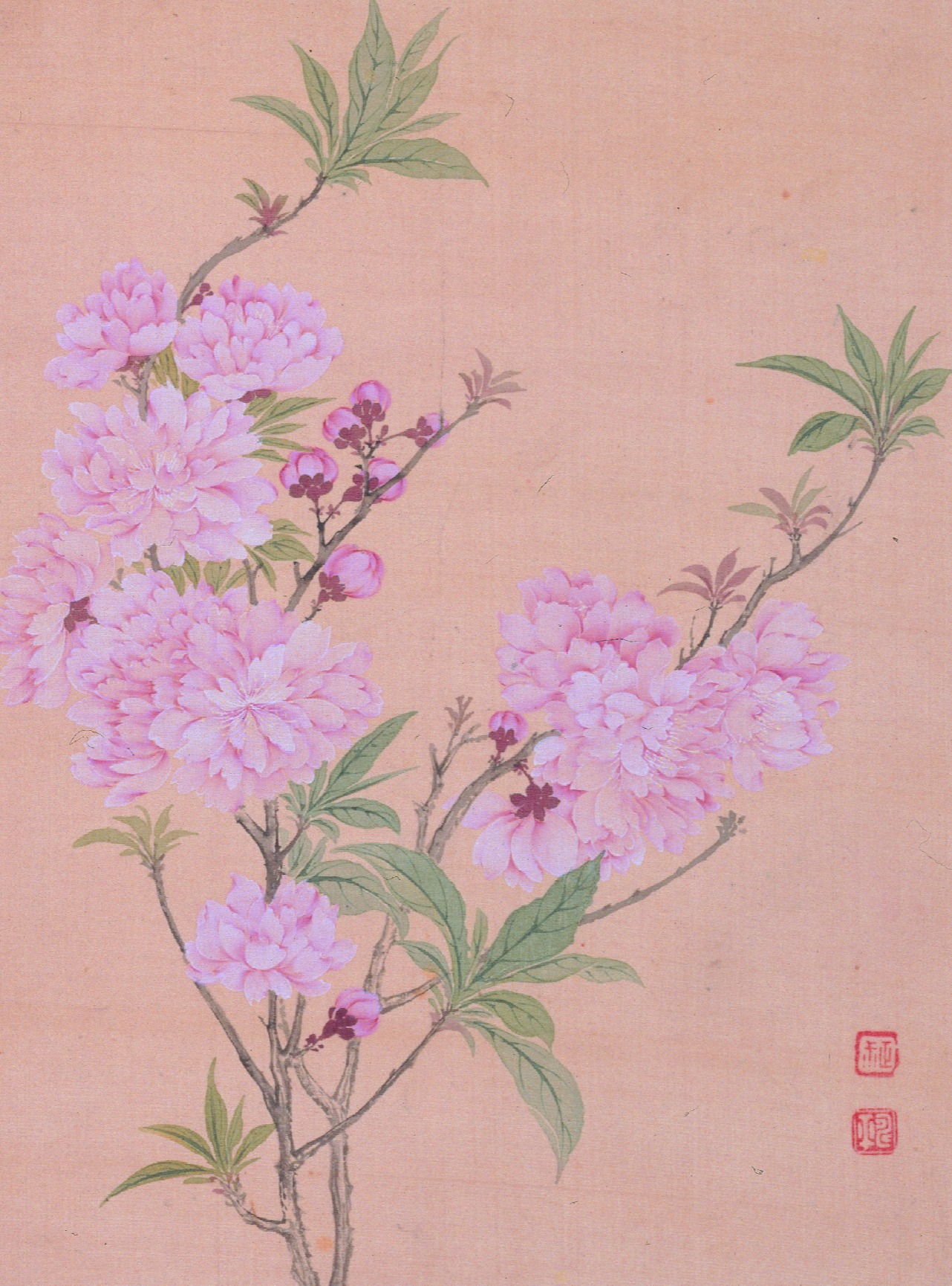 恽寿平王翚花卉山水合册_cm_纸本_南田