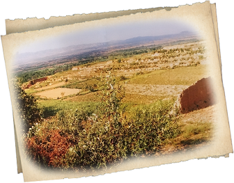 晋侯稣钟 每月一珍上海博物馆