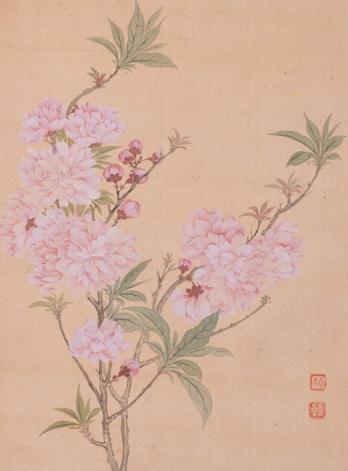 春天,一起来看花——中国古代花鸟画专题