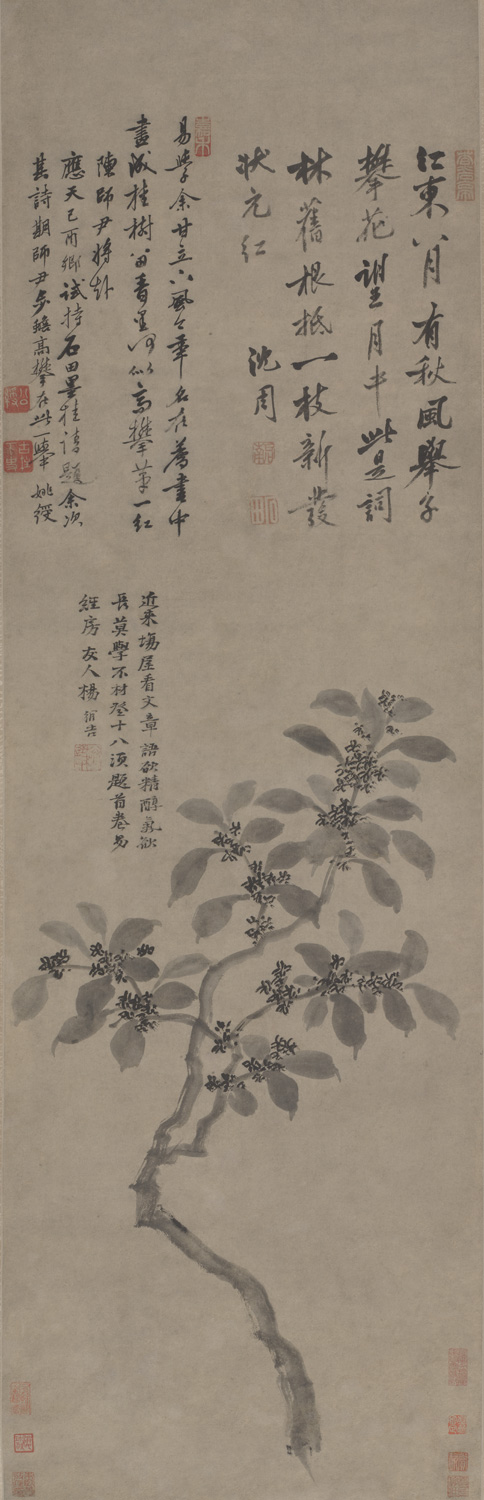 春天,一起来看花——中国古代花鸟画专题
