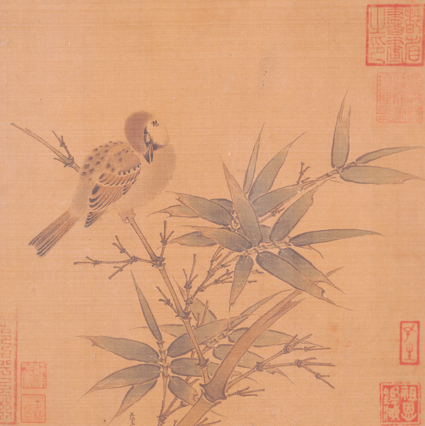 春天,一起来看花——中国古代花鸟画专题