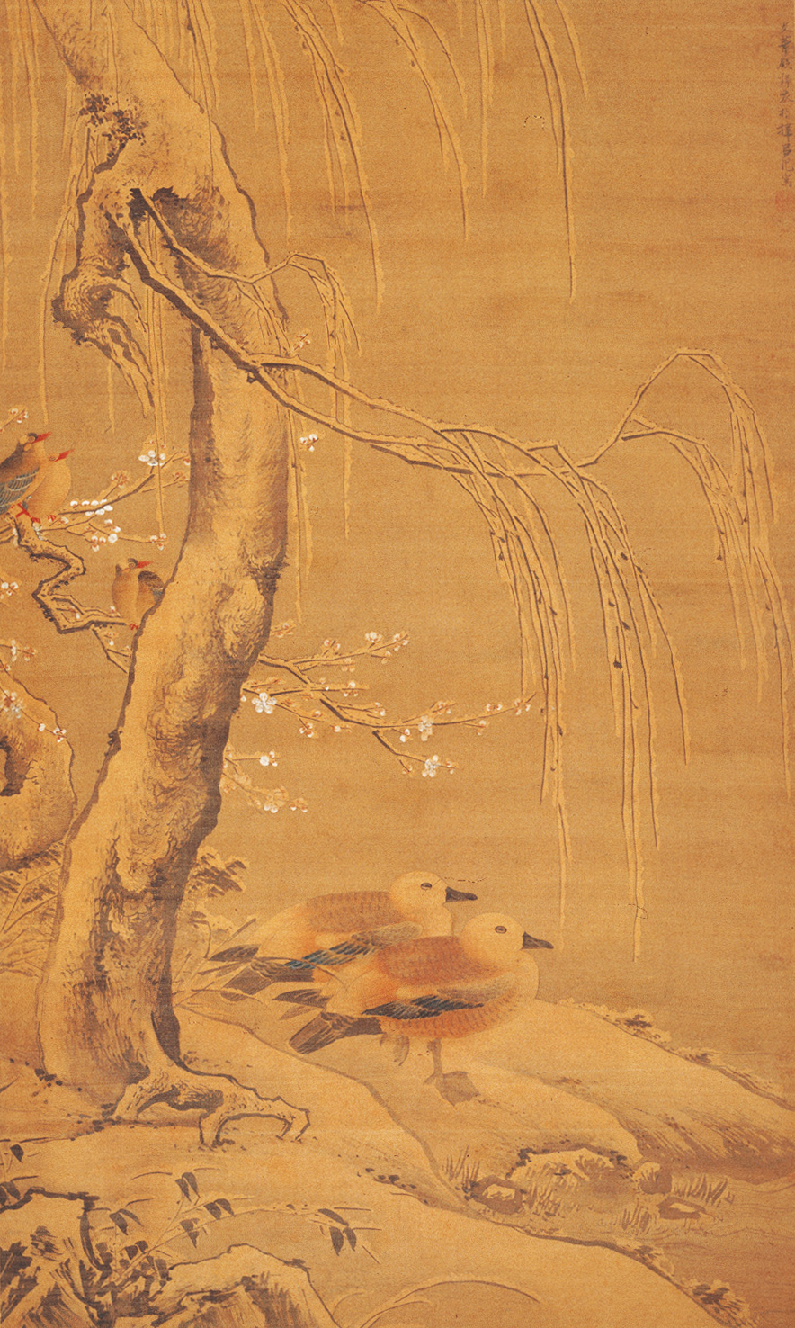 春天,一起来看花——中国古代花鸟画专题