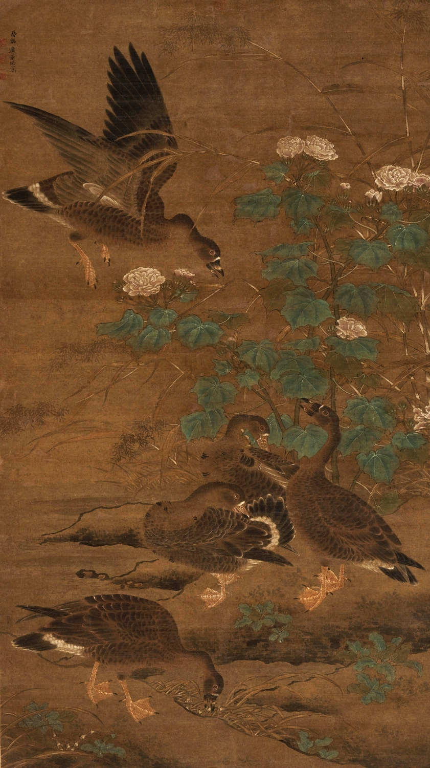 春天,一起来看花——中国古代花鸟画专题